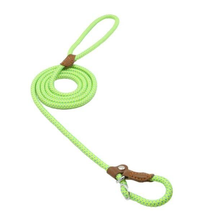 Reflective Dog Leash Set