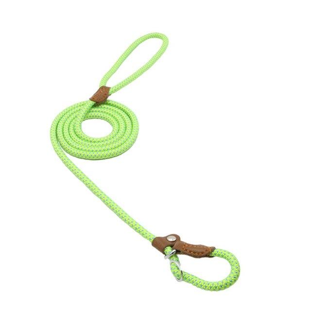 Reflective Dog Leash Set