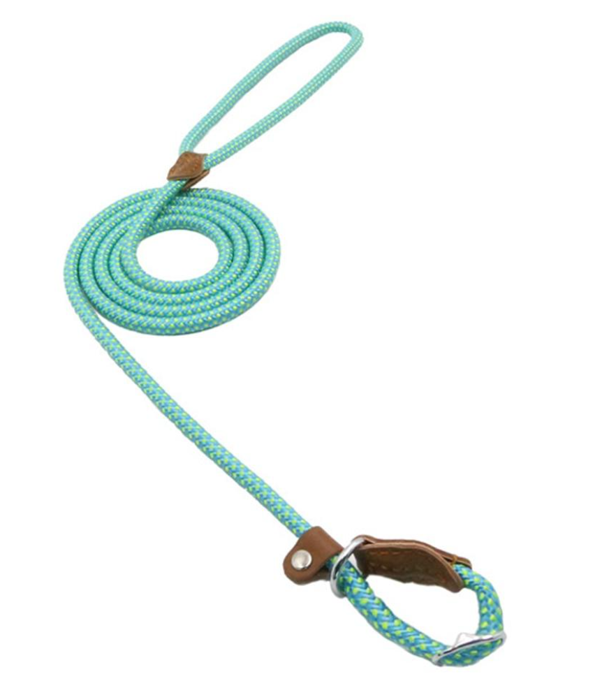 Reflective Dog Leash Set