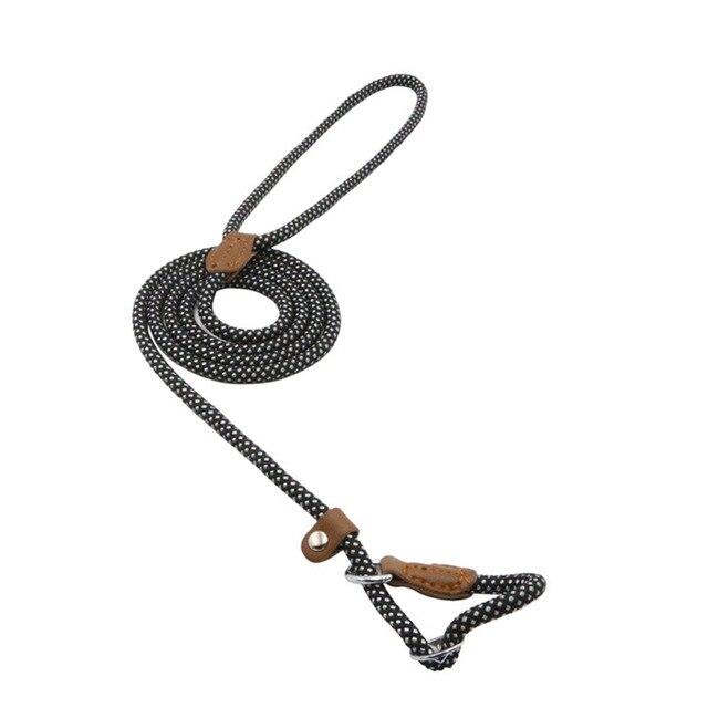 Reflective Dog Leash Set