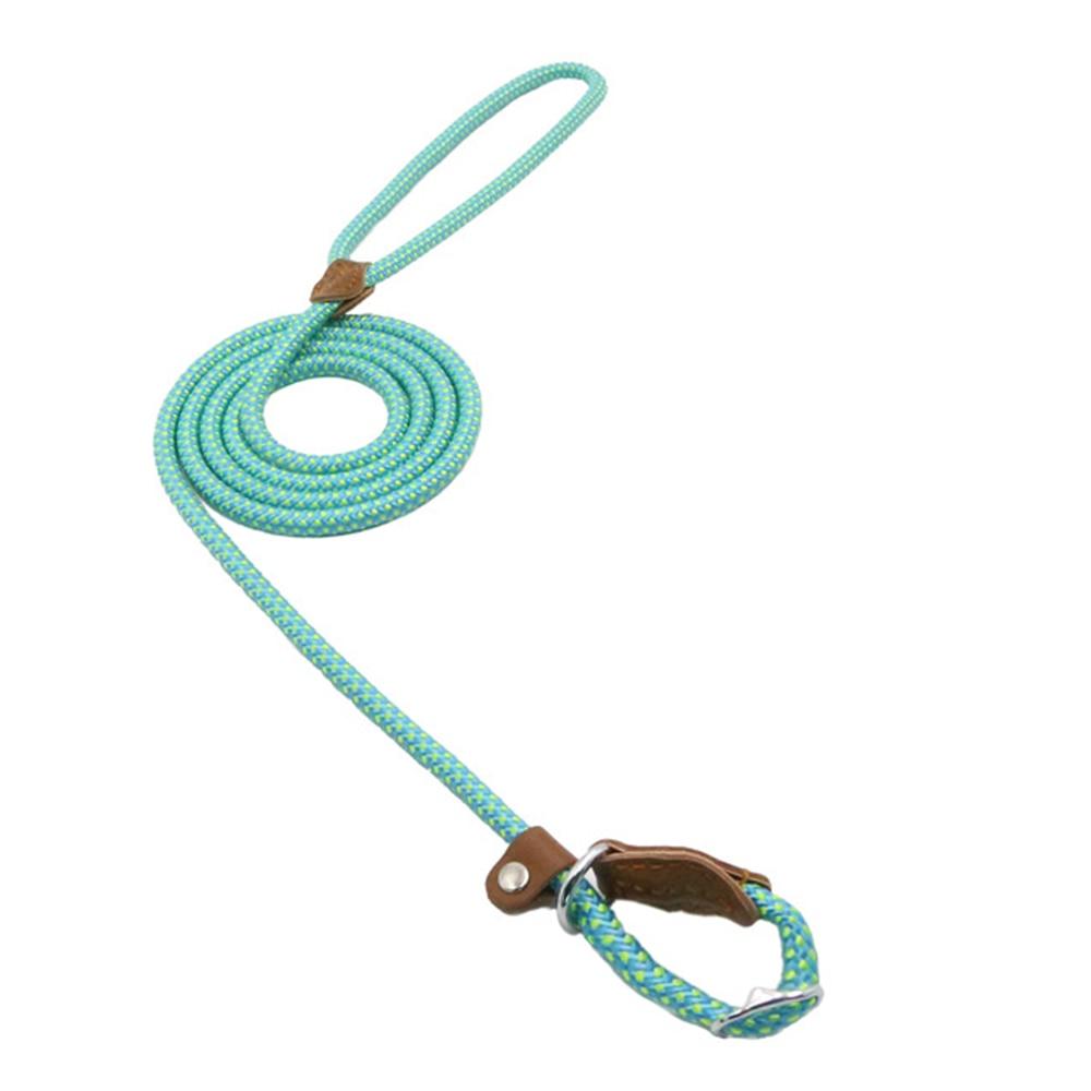 Reflective Dog Leash Set