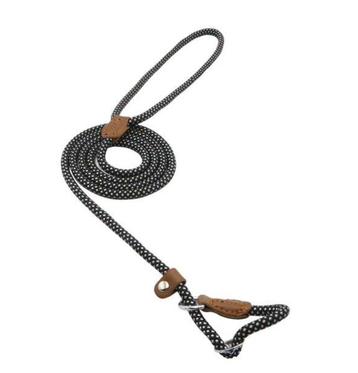 Reflective Dog Leash Set