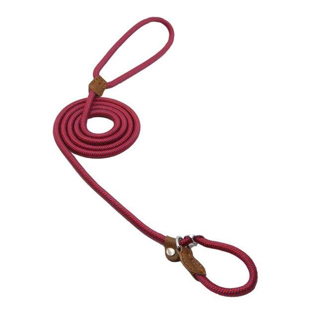 Reflective Dog Leash Set