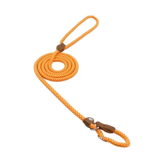 Reflective Dog Leash Set
