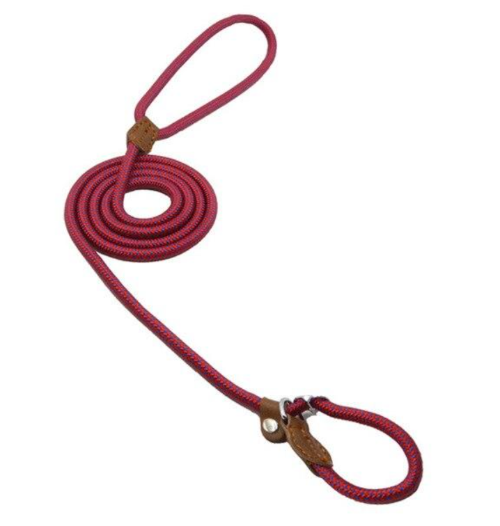 Reflective Dog Leash Set