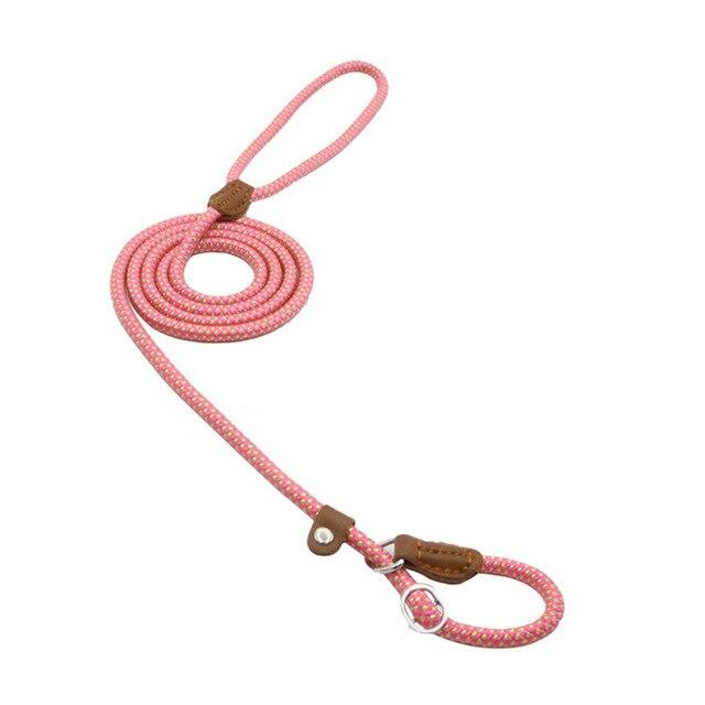 Reflective Dog Leash Set