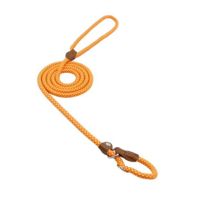 Reflective Dog Leash Set