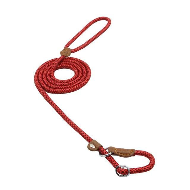 Reflective Dog Leash Set